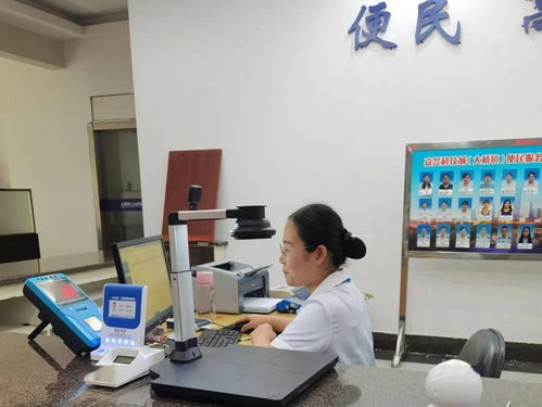 嘉興科技城大橋鎮便民服務中心公用事業服務窗口正式啟用，提供全域通辦與信息技術咨詢服務